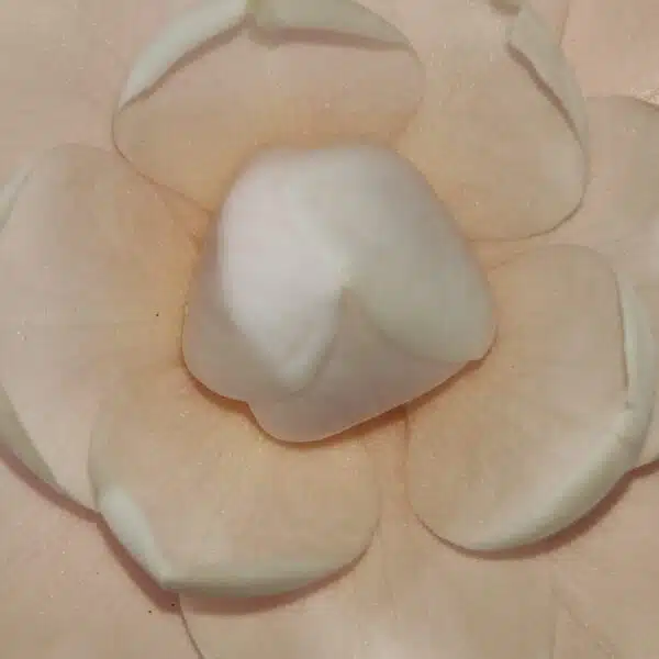 Camellia Japonica ‘Pink Perfection’ - Beautiful Pink Blooms for Your Garden - Image 9