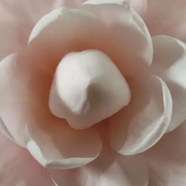 Camellia Japonica ‘Pink Perfection’ - Beautiful Pink Blooms for Your Garden - Image 8