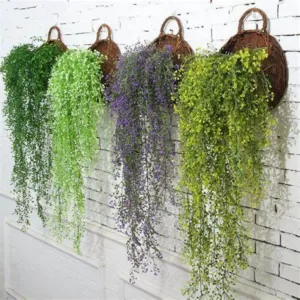 Hanging and trailing plants