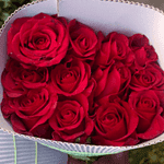 Rose Dark Red Bangalore Delivery