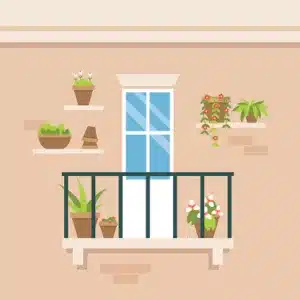 Balcony and terrace plants for Bengaluru