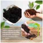 Buy Vermi Compost Online in India | 100% Organic & Natural plant