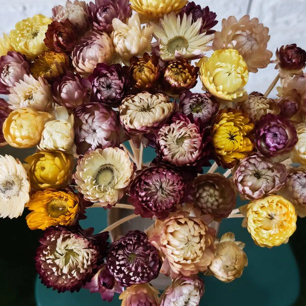 Straw Mixed Color - Image 5