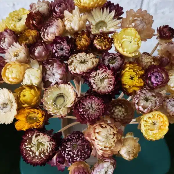 Straw Mixed Color - Image 5