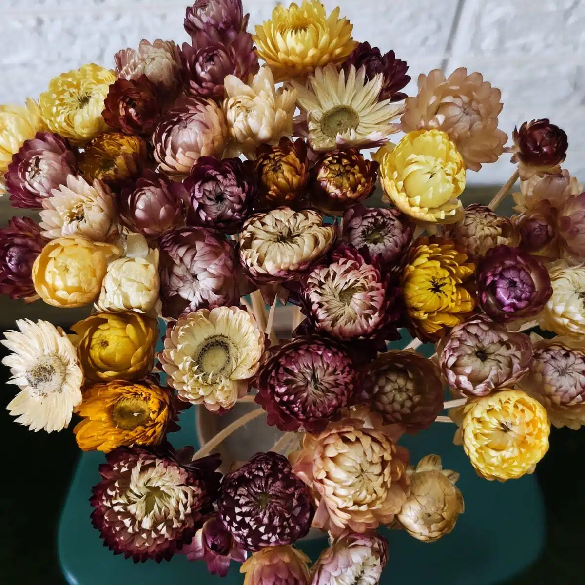 Straw Mixed Color - Image 4