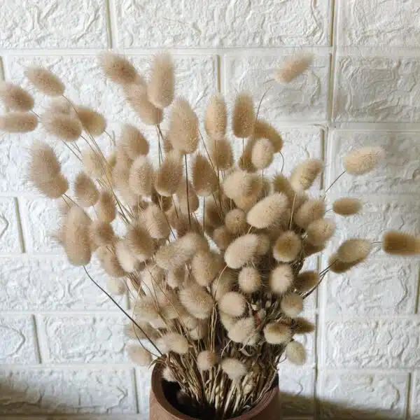 Bunny Tail - Image 12