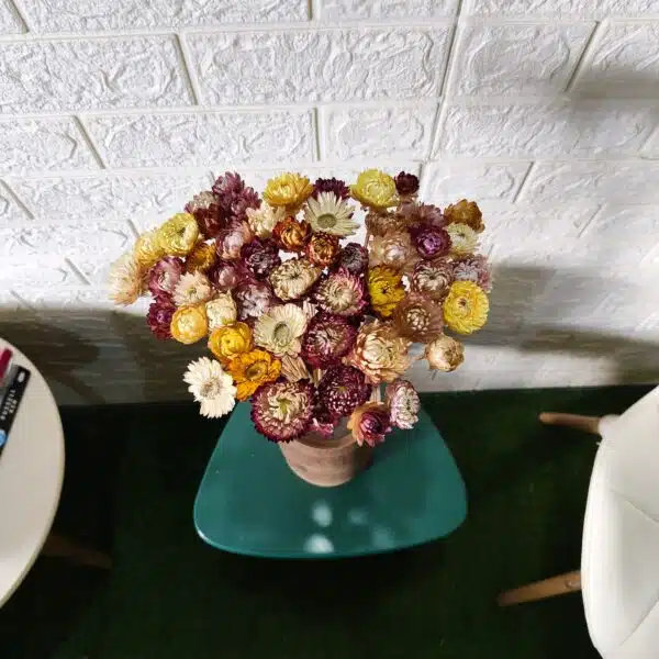 Straw Mixed Color - Image 2