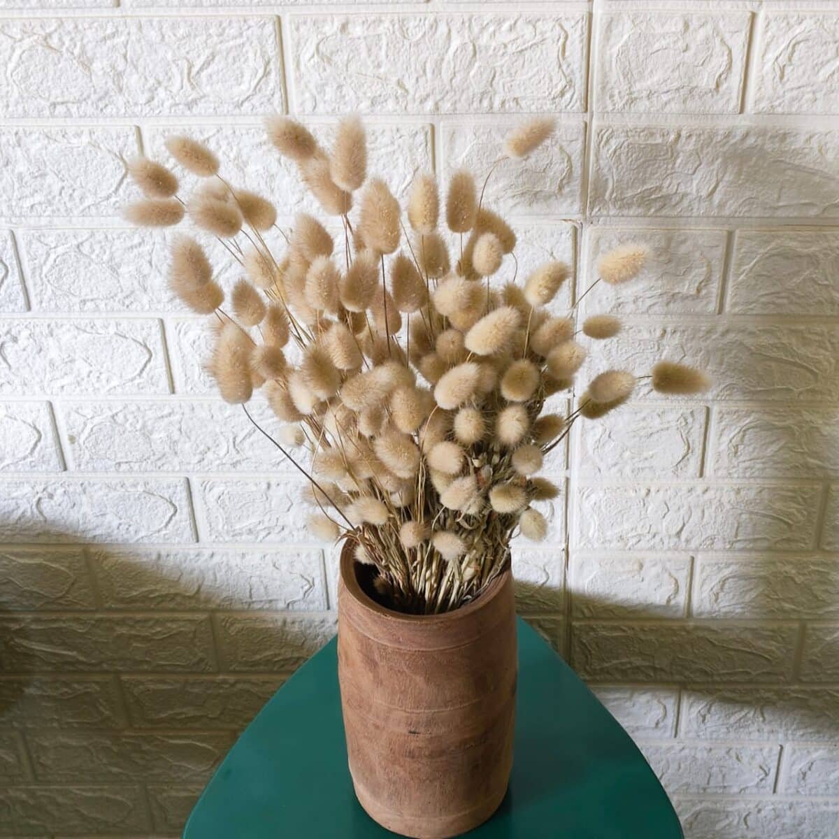 Bunny Tail - Image 14