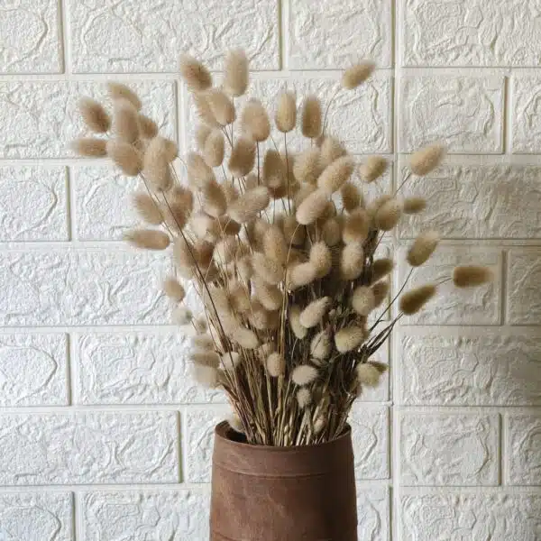 Bunny Tail - Image 9