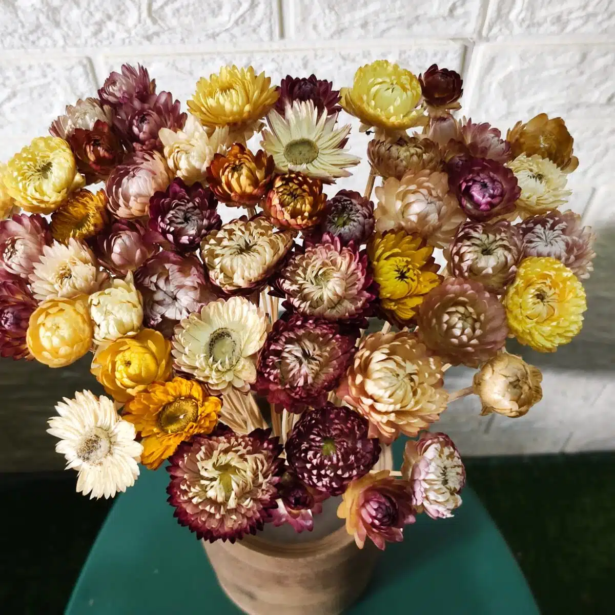 Straw Mixed Color - Image 3