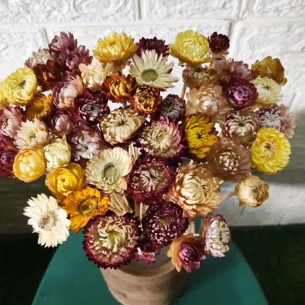 Straw Mixed Color - Image 3