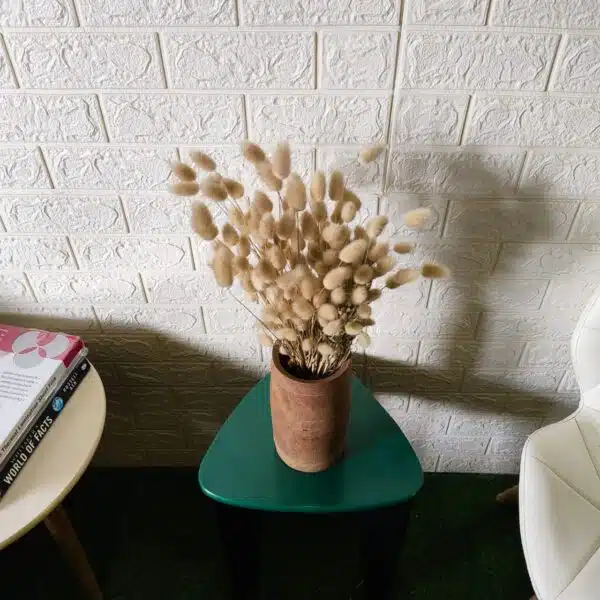 Bunny Tail - Image 6