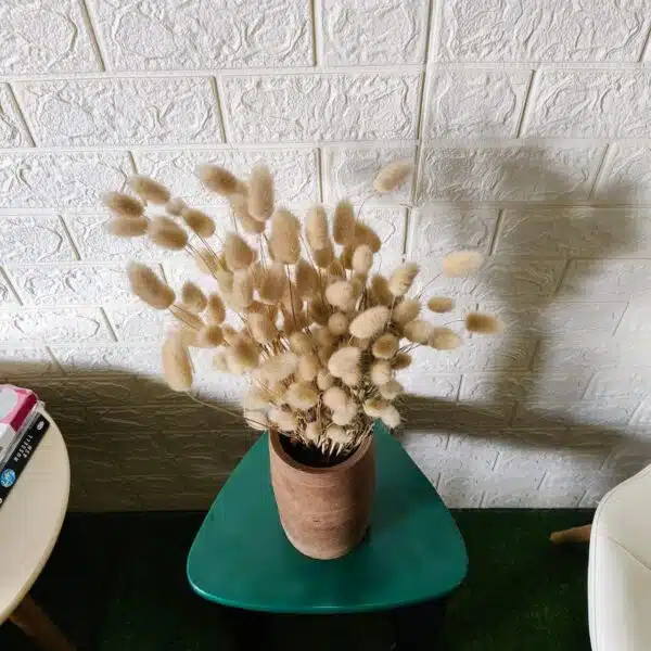 Bunny Tail - Image 3