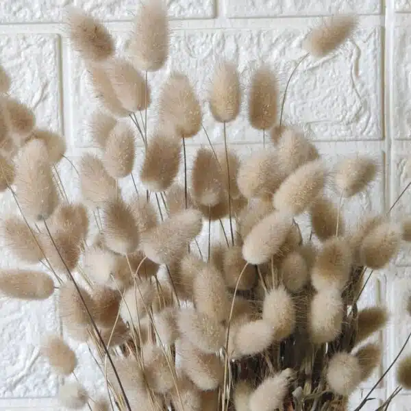 Bunny Tail - Image 10