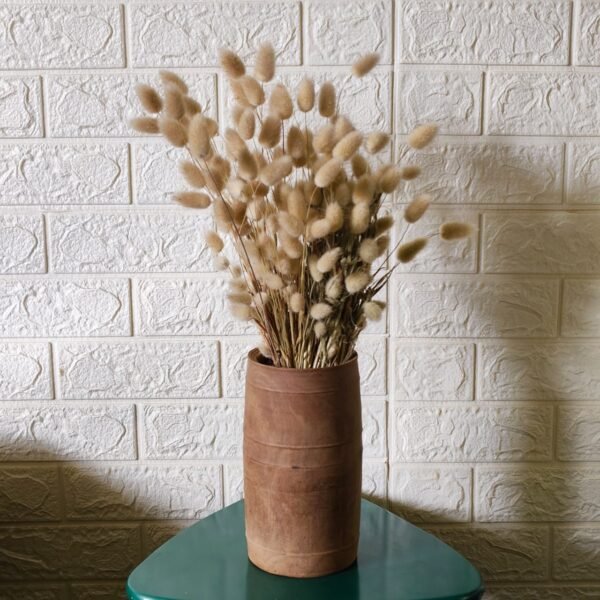 Bunny Tail - Image 7