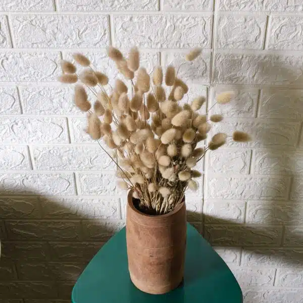 Bunny Tail - Image 5