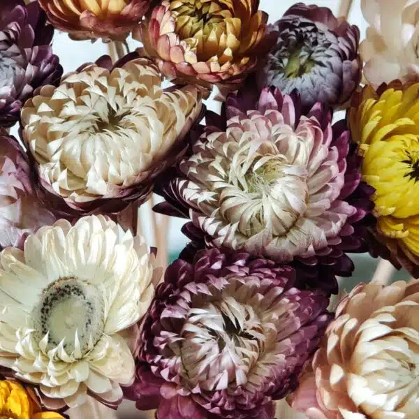 Straw Mixed Color - Image 6