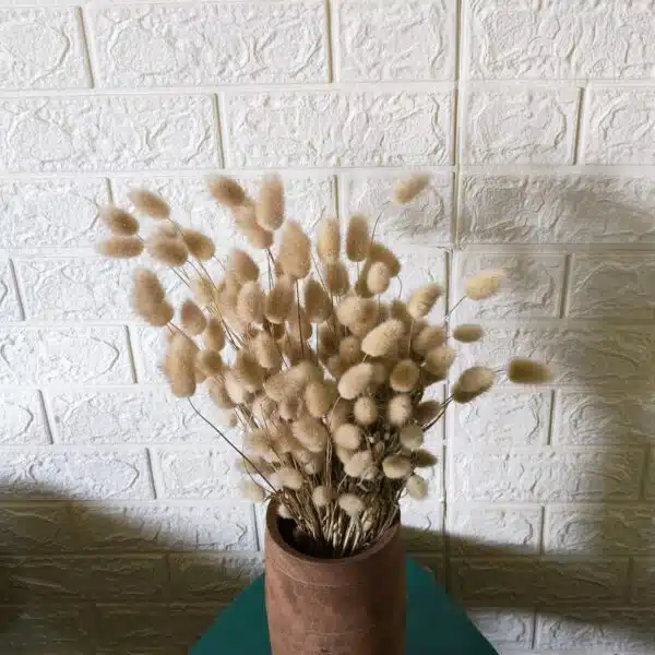 Bunny Tail - Image 13