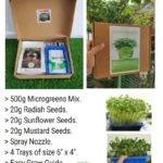 Microgreen Starter Kit: Grow Your Own Healthy Microgreens at Home plant