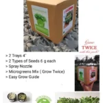 Microgreen Mini Gifting Kit – Grow Your Own Fresh Microgreens at Home plant
