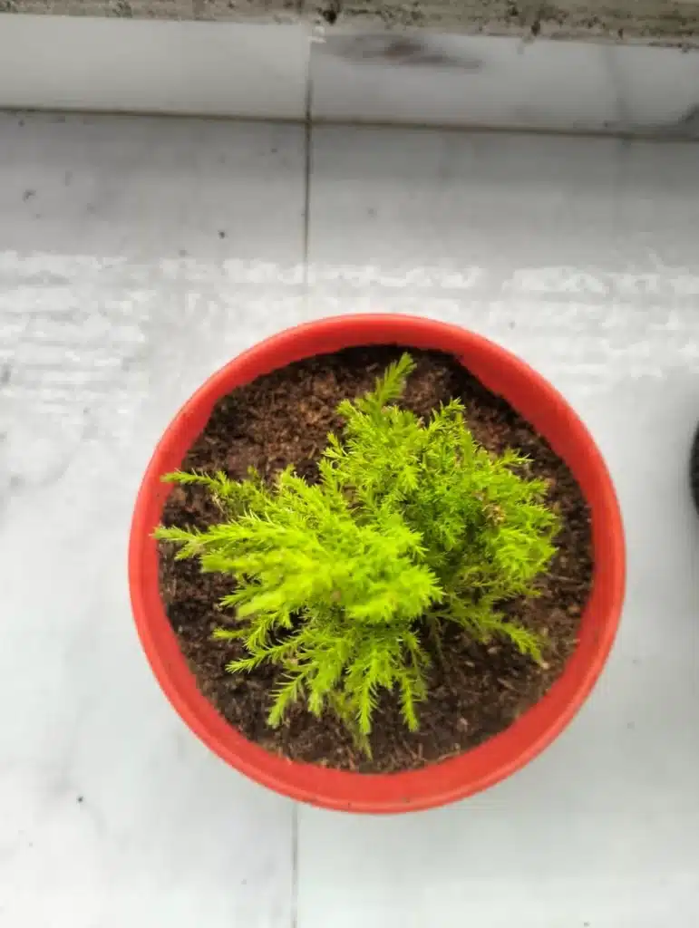 Image #1 from Jitendra Kevadiya