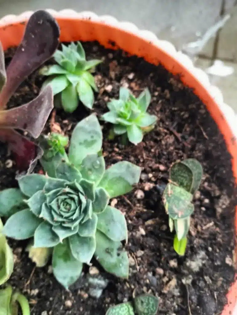 Image #1 from Jitendra Kevadiya