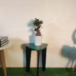 Ficus Microcarpa Ginseng Bonsai Plant - Image 2