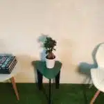 Ficus Microcarpa Ginseng Bonsai Plant - Image 3