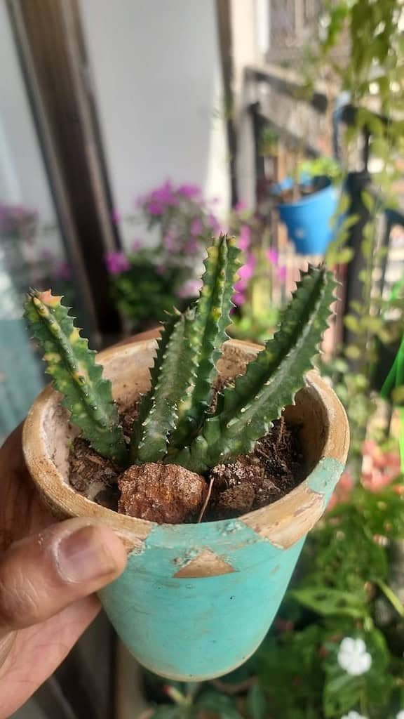 Image #1 from Anonymous