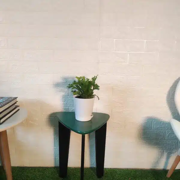 Asplenium 'Crissie' birdnest fern - Image 5