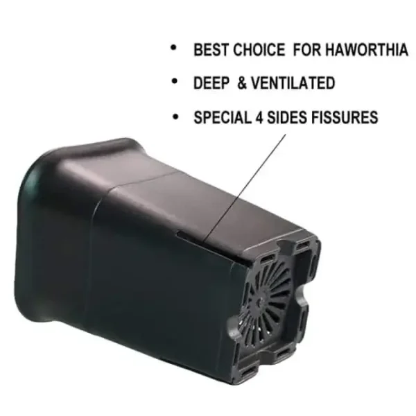 Square Tall Pot - Image 5