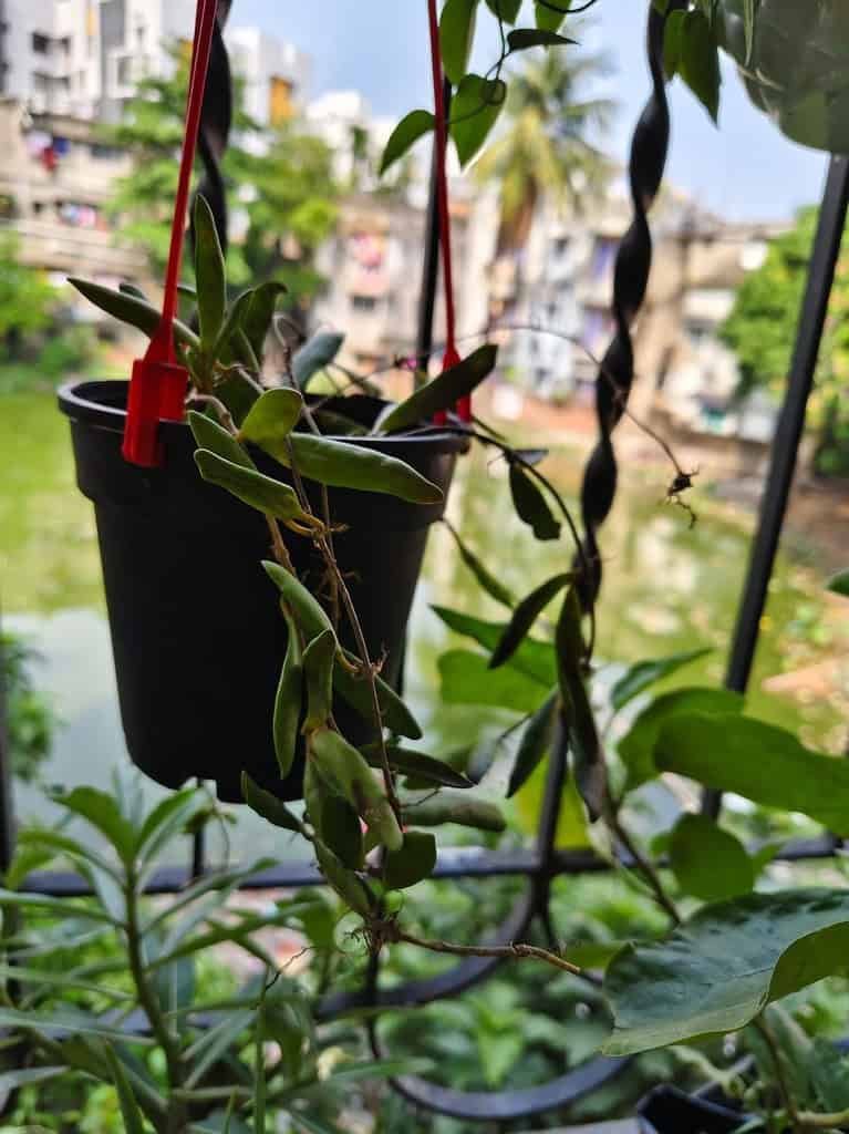 Image #1 from Moumita Dey