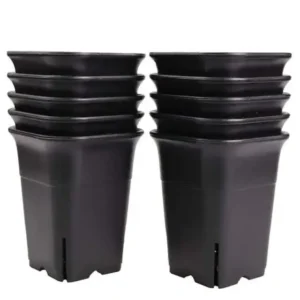 Square Tall 4.5 Inches (Diameter)/(Height) 6 Inches