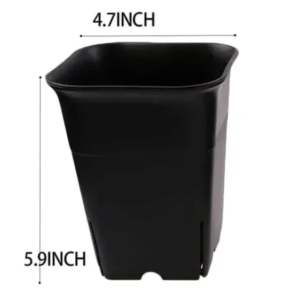 Square Tall Pot - Image 2