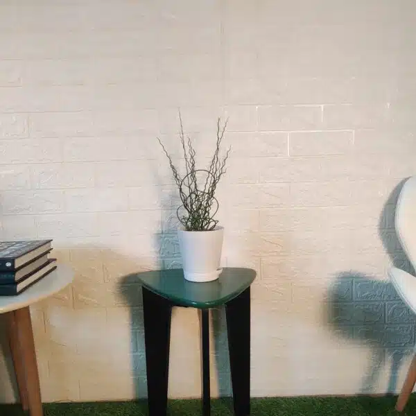 Juncus Effusus 'Spiralis'(Corkscrew Rush) - Image 2