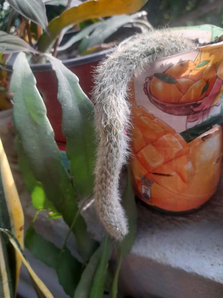 Image #1 from Harun All Rashid Mollah