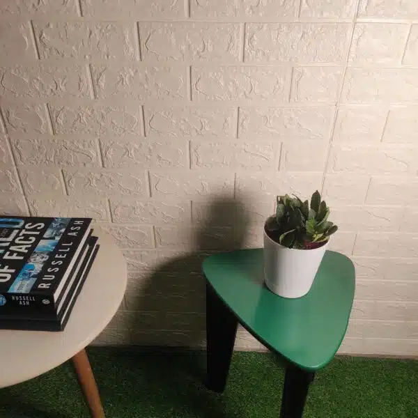 Euphorbia Francoisii - Image 2