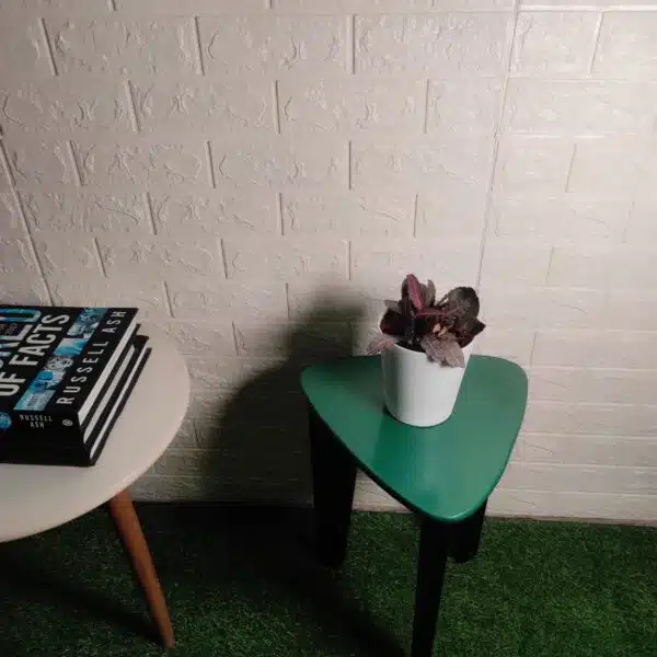 Euphorbia Francoisii - Image 6