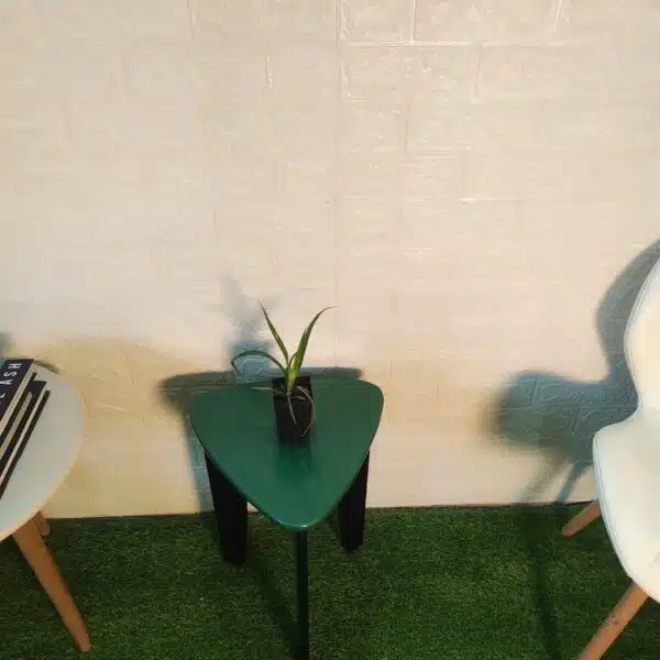 Dracaena Draco (Dragon Tree or Drago) - Image 2