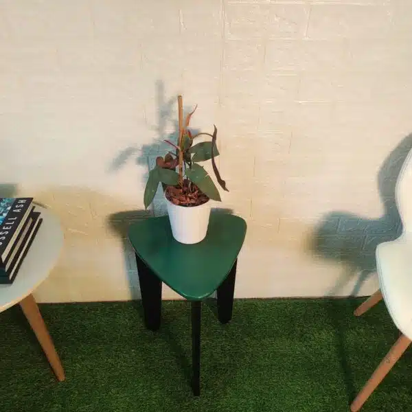 Philodendron Atabapoense Live Plant - Image 2