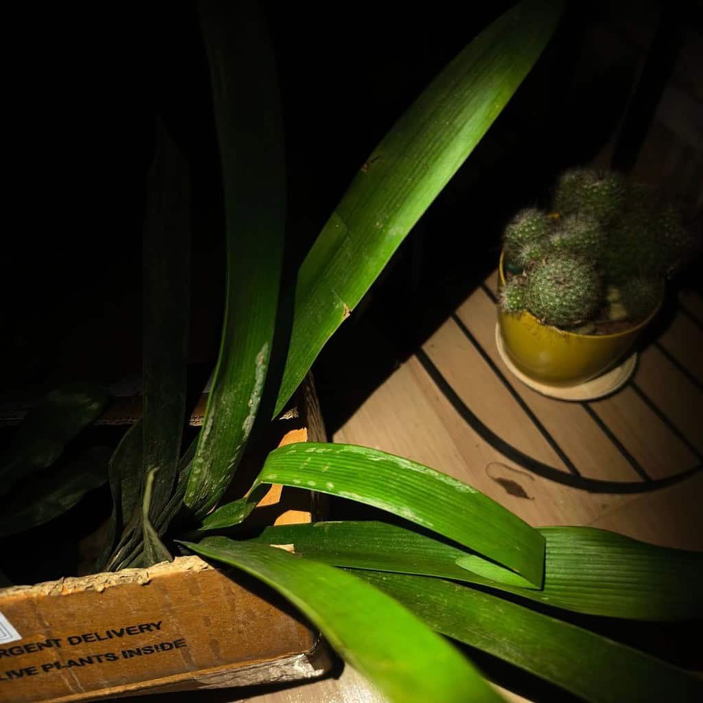 Image #1 from Preetam B.