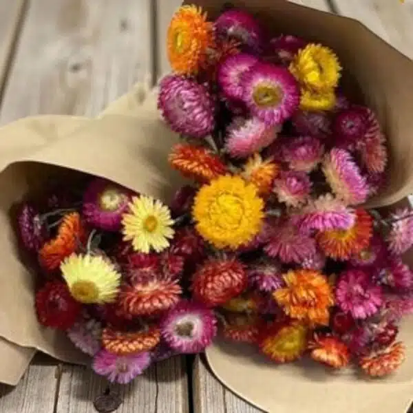 Straw Mixed Color - Image 8