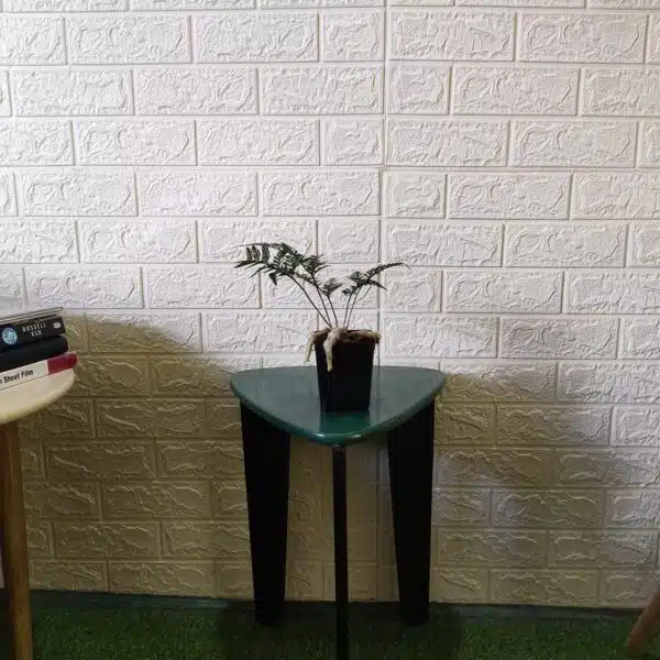 Rabbit's Foot Fern (Davallia fejeensis) - Image 5