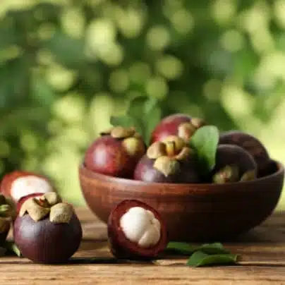 Mangosteen (Garcinia Mangostana) Live Fruit Plants