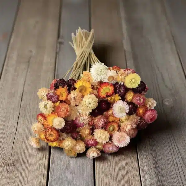 Straw Mixed Color - Image 7