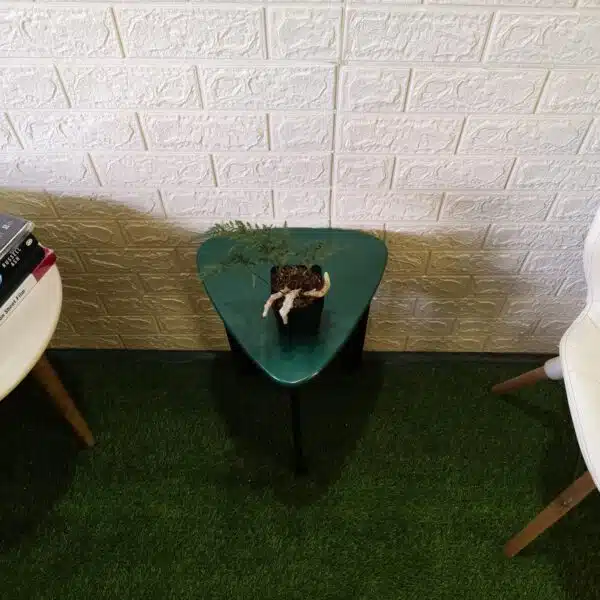 Rabbit's Foot Fern (Davallia fejeensis) - Image 12