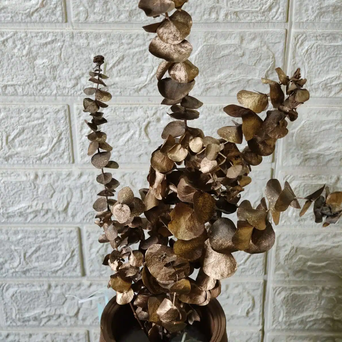 Naturally Dried Eucalypyus Stems (Gold Spray) - Set Of Five Stem - Image 12