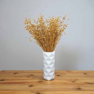 Dried Linseed Flax Flowers