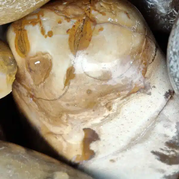 African Pebbles Polished 20-40 mm (Mix Color) - Image 8