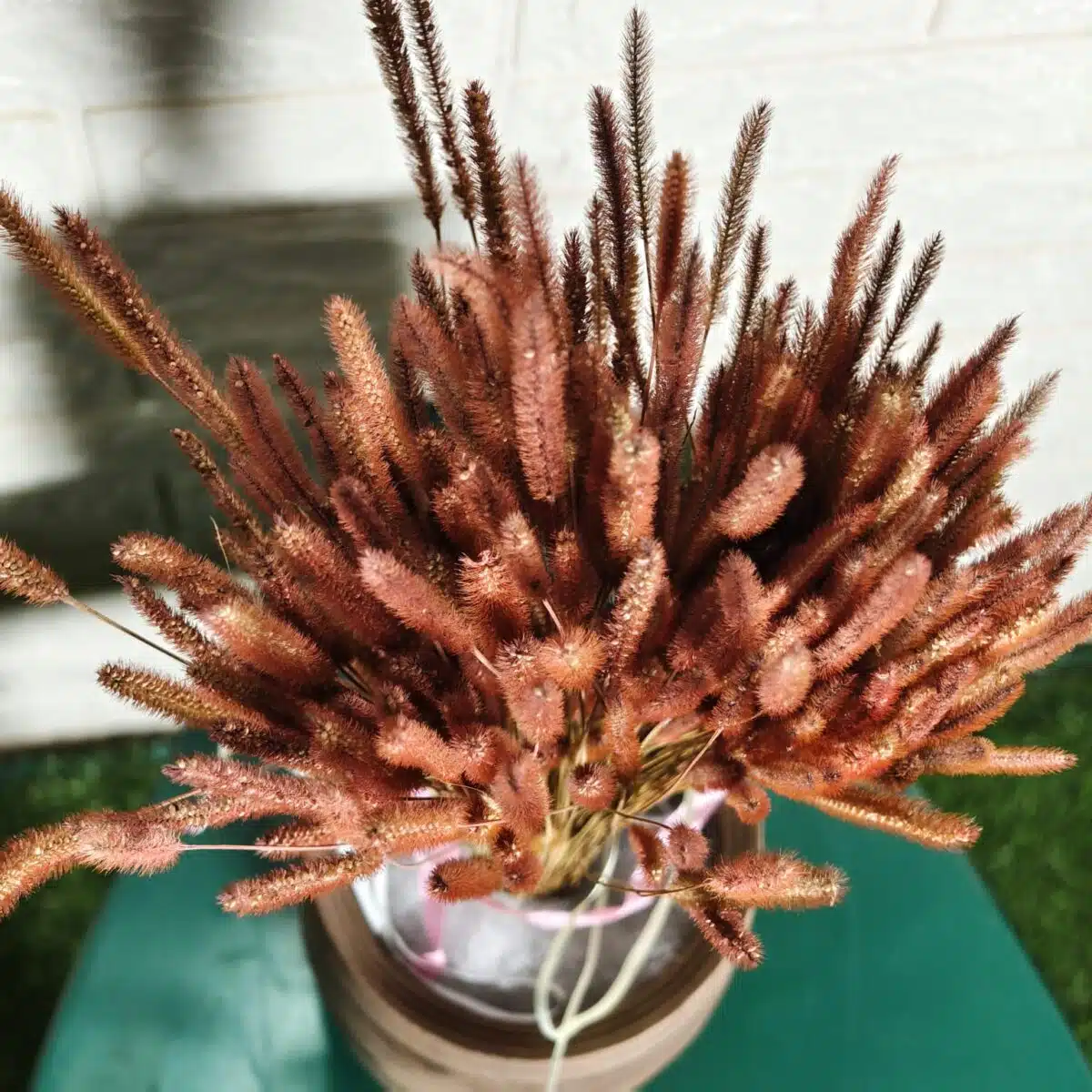 Dried Mountain Grass - Image 4